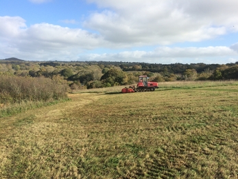 Cutting meadows at Teifi Marshes Nature Reserve