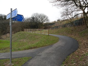 A tarmac path through Westfield Pill Reserve. 