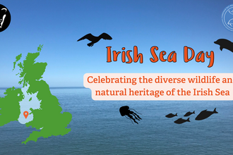 Irish Sea Day