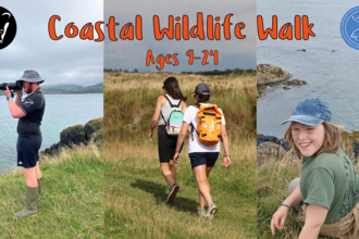 Coastal Wildlife Walk