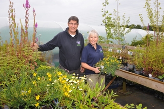 Barry and Sandra Stewart in their wildflower nursery