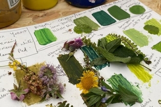 A selection of plant materials on a colour chart.