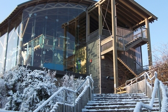 Welsh Wildlife Centre in the snow