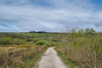 Gravel path lined by hedgherows