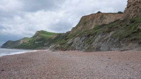 Maritime cliffs