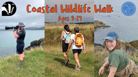 Coastal Wildlife Walk