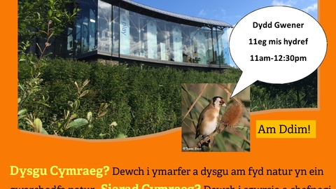 poster showing visitor centre and goldfinch