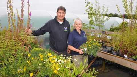 Barry and Sandra Stewart in their wildflower nursery