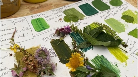 A selection of plant materials on a colour chart.