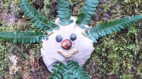 face made from clay, leaves and seeds stuck onto tree trunk