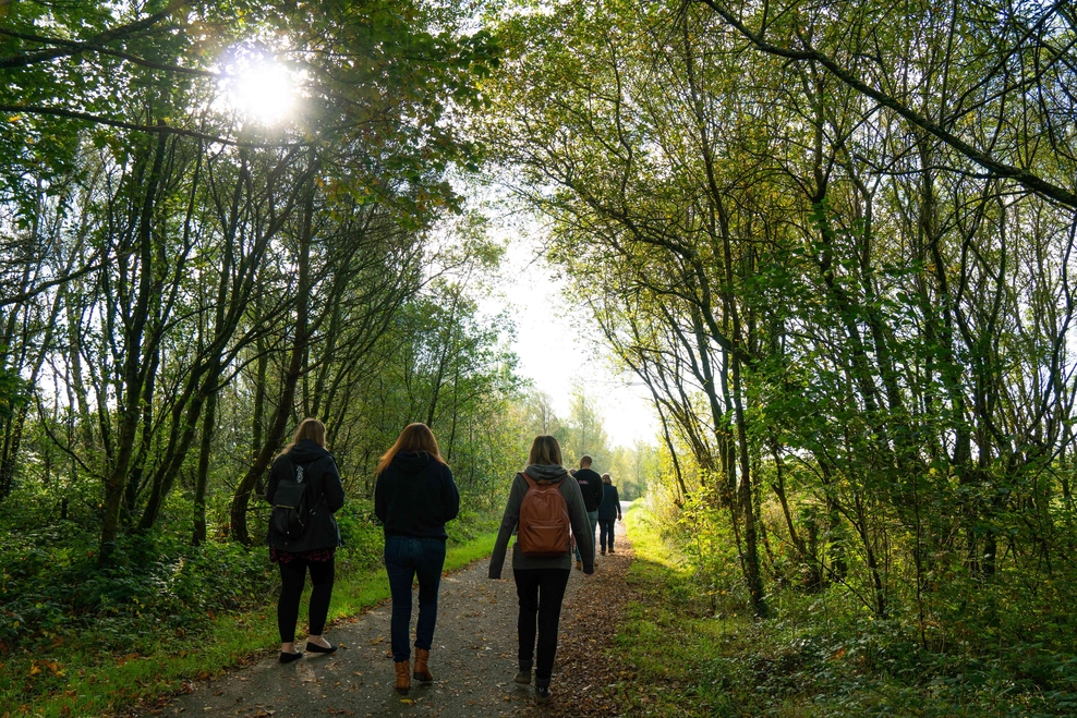 Parc Slip Nature Reserve – Bridgend | The Wildlife Trust of South and ...