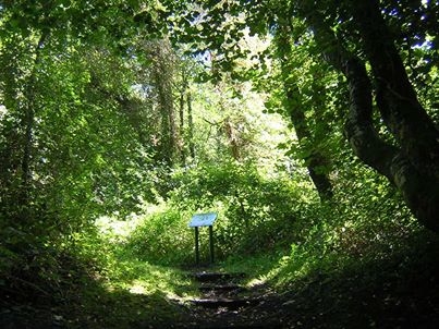 Ystradfawr villas entrance