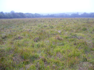 Rhos Cefn Bryn