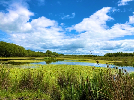 Parc Slip Wetlands