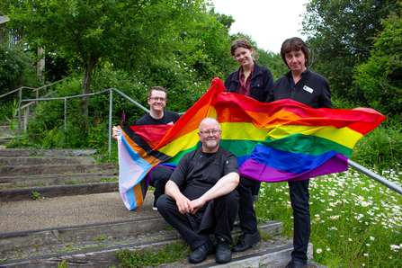 Staff - Pride flag