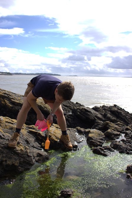 Chris rock pooling