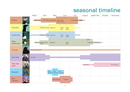 Timeline showing wildlife highlights through the year on Skomer Island