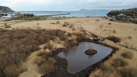 Wildlife Pond at Goodwick Moor Nature Reserve