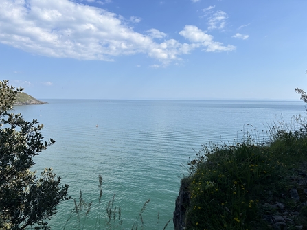 A view from the coast on a sunny day. 