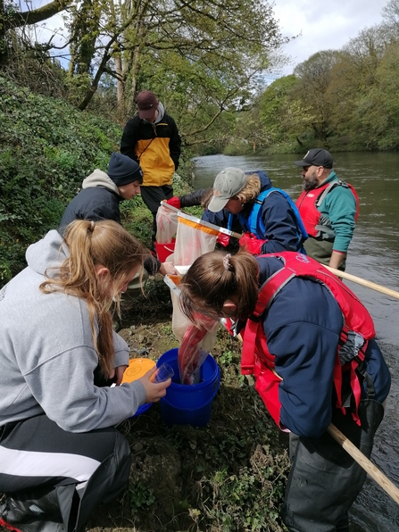A group of people gather on the riverbank with nets full of riverfly samples