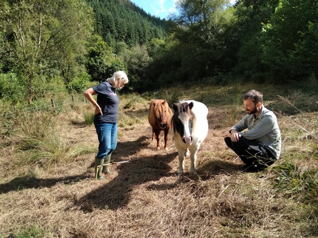 Cae Pwlly bo shetlands Jan and Thomas 