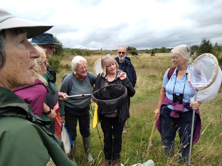 Ystradfawr Pollinators Walk 