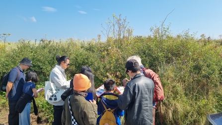 Participants looking and learning about a hedgerow