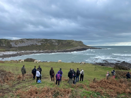 Attendees observing grazing ponies on the coast