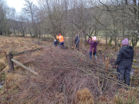 Freshwater habitats and leaky woody structures at Vicarage Meadows Nature Reserve.