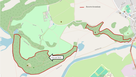 A map of Castle Woods. 