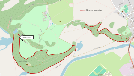 A map of Castle Woods. 