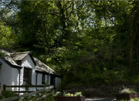 Oak tree cottage