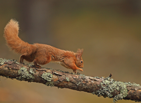 https://www.welshwildlife.org/sites/default/files/styles/spotlight_default/public/2022-09/1D4_2530.jpg?h=6a7c1e62&itok=v5Tmd8Kp